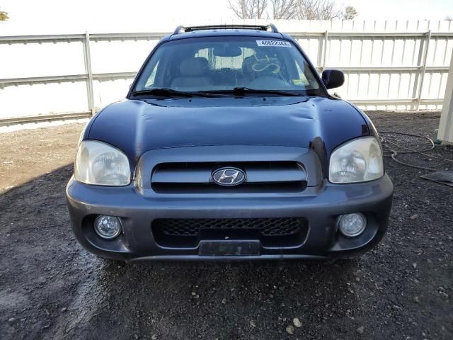 2005 Hyundai Santa FE GLS