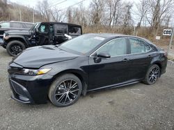 Salvage cars for sale at Marlboro, NY auction: 2023 Toyota Camry SE Night Shade