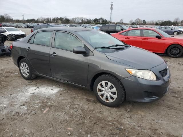 2010 Toyota Corolla Base