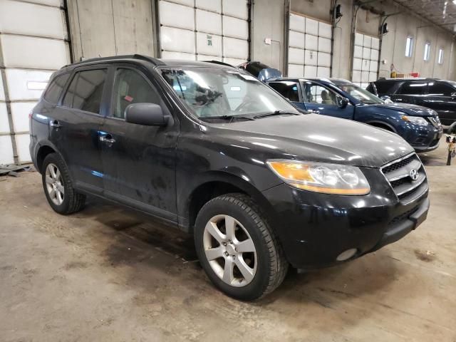 2009 Hyundai Santa FE SE