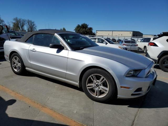 2013 Ford Mustang