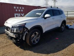 2023 Hyundai Santa FE SEL en venta en Elgin, IL