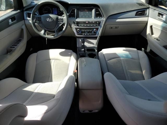 2016 Hyundai Sonata ECO