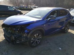 2020 Lexus NX 300 F-Sport for sale in Marlboro, NY