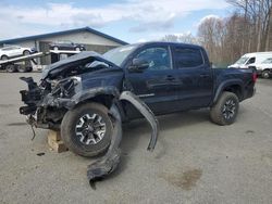 Salvage cars for sale from Copart East Granby, CT: 2019 Toyota Tacoma Double Cab