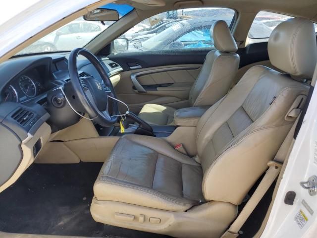 2009 Honda Accord EXL