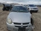 2004 Dodge Neon SXT