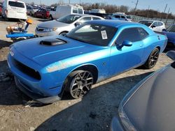 Dodge Challenger salvage cars for sale: 2016 Dodge Challenger R/T Scat Pack