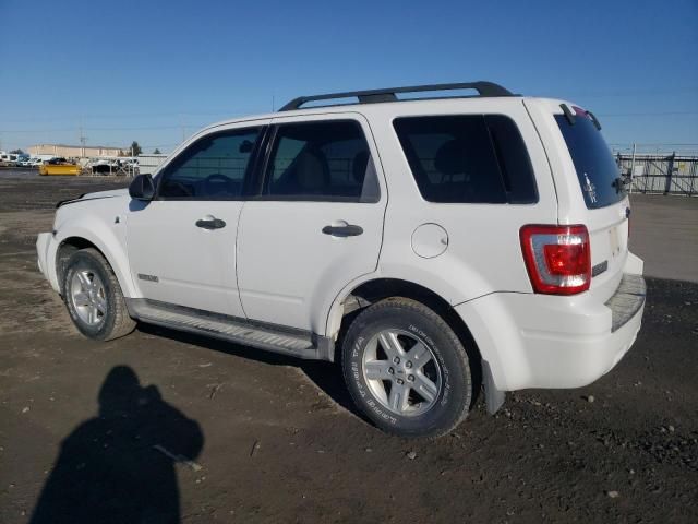 2008 Ford Escape HEV