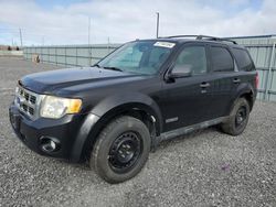 Ford salvage cars for sale: 2011 Ford Escape XLT