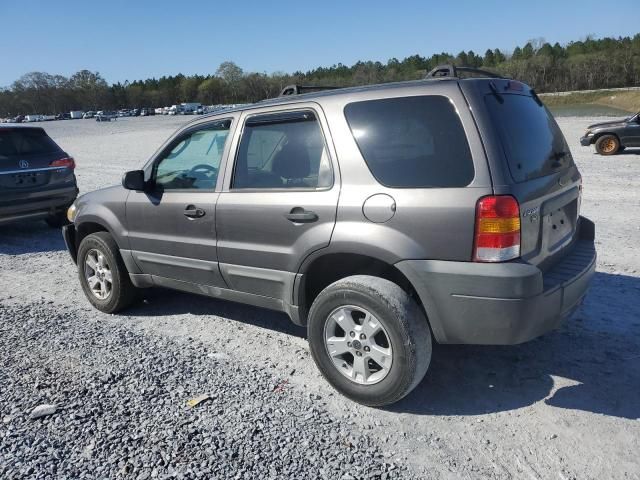 2006 Ford Escape XLT