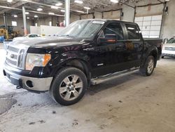 Salvage cars for sale from Copart Blaine, MN: 2011 Ford F150 Supercrew