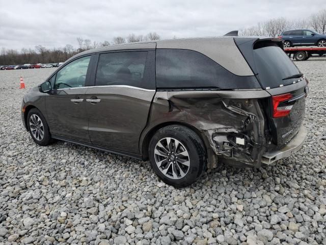 2021 Honda Odyssey EXL