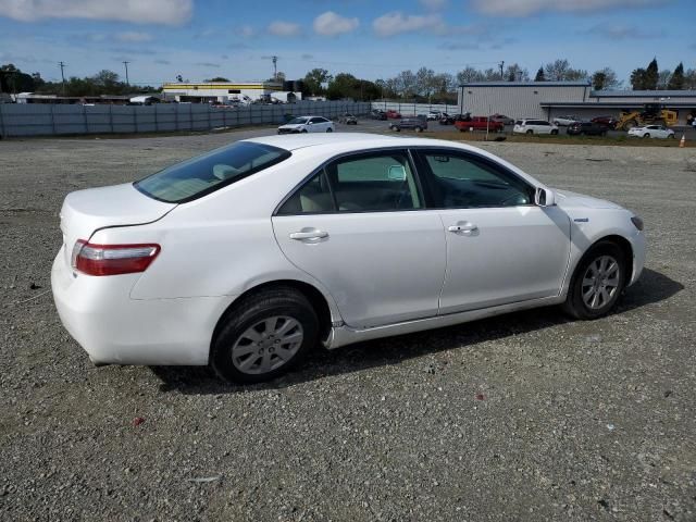 2009 Toyota Camry Hybrid