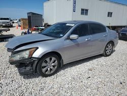 Salvage cars for sale at New Braunfels, TX auction: 2010 Honda Accord EXL