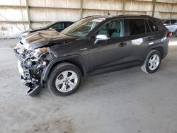 Salvage cars for sale at Phoenix, AZ auction: 2021 Toyota Rav4 XLE