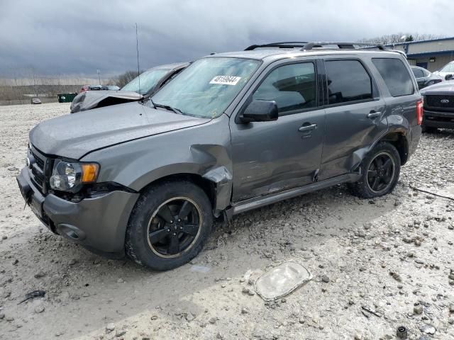 2011 Ford Escape XLT