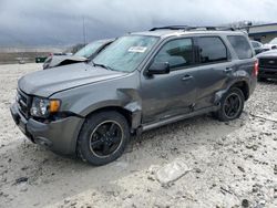 Ford Escape XLT Vehiculos salvage en venta: 2011 Ford Escape XLT