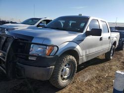 Salvage cars for sale from Copart Brighton, CO: 2014 Ford F150 Supercrew
