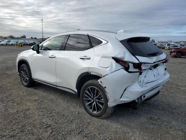 2024 Lexus NX 350H Base