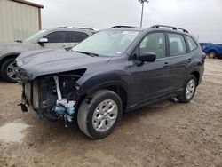 2024 Subaru Forester en venta en Temple, TX