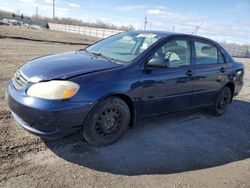 Salvage cars for sale at Ottawa, ON auction: 2006 Toyota Corolla CE