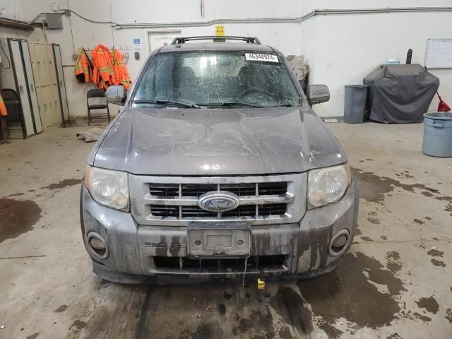 2009 Ford Escape XLT