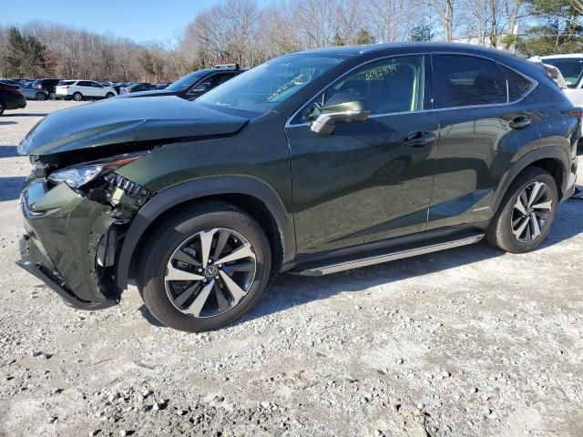 2021 Lexus NX 300H Base