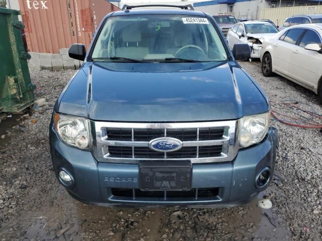 2010 Ford Escape XLT