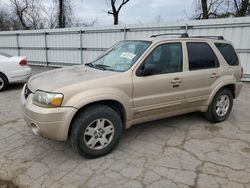 Salvage cars for sale from Copart West Mifflin, PA: 2007 Ford Escape Limited