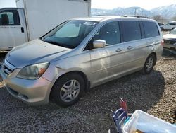 Salvage cars for sale from Copart Magna, UT: 2006 Honda Odyssey EXL