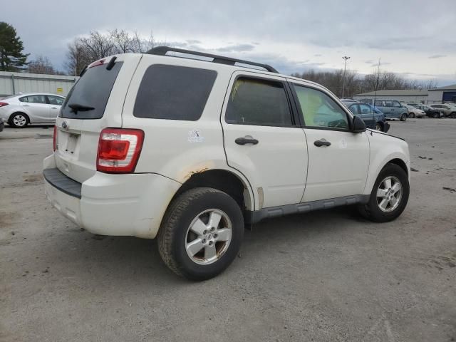 2010 Ford Escape XLT