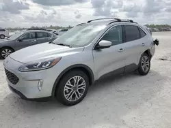 Salvage cars for sale at Arcadia, FL auction: 2022 Ford Escape SEL