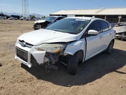 Ford Focus SE salvage cars for sale: 2013 Ford Focus SE