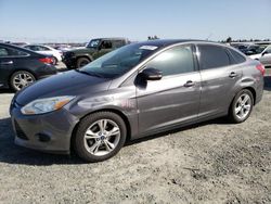 Salvage cars for sale from Copart Antelope, CA: 2014 Ford Focus SE