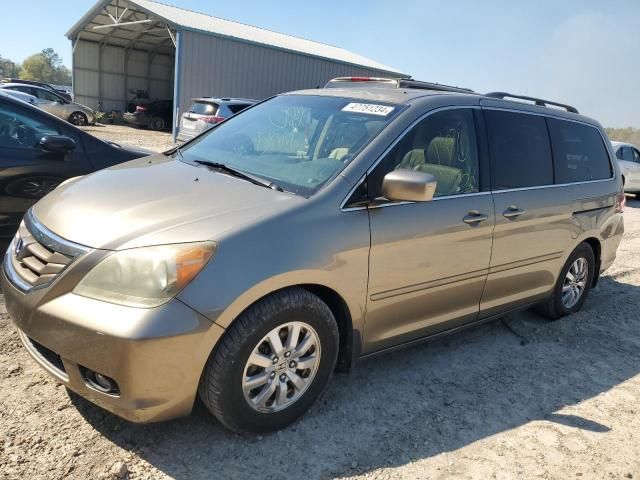 2008 Honda Odyssey EXL