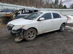 Salvage cars for sale at Center Rutland, VT auction: 2010 Toyota Corolla Base