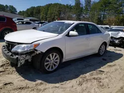 Salvage cars for sale at Seaford, DE auction: 2013 Toyota Camry L