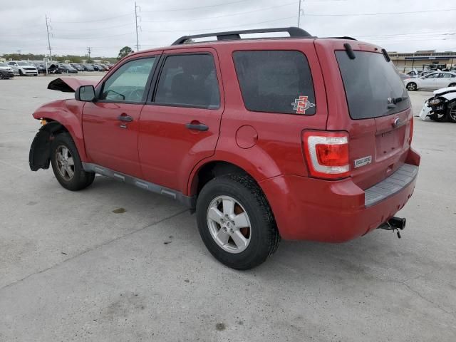 2011 Ford Escape XLT