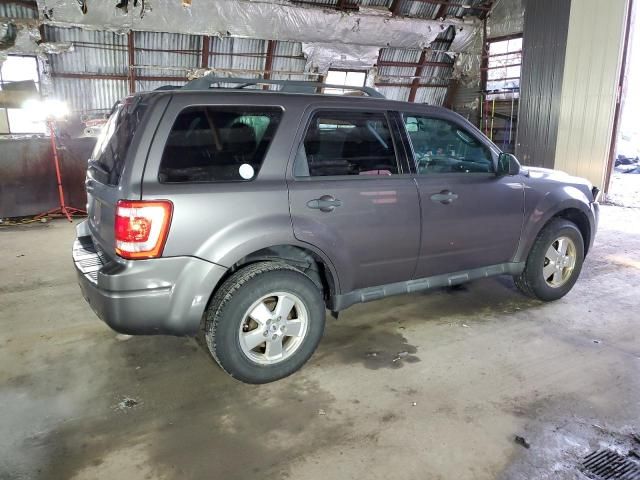 2011 Ford Escape XLT