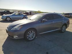 Lexus Vehiculos salvage en venta: 2012 Lexus ES 350