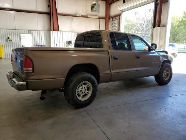 2000 Dodge Dakota Quattro