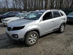 KIA Sorento Vehiculos salvage en venta: 2012 KIA Sorento Base