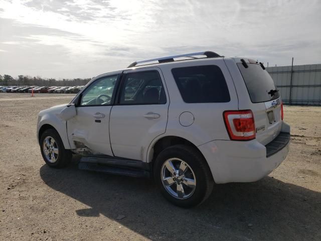 2011 Ford Escape Limited