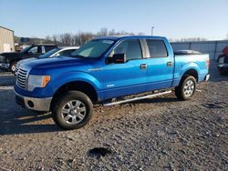 Ford salvage cars for sale: 2012 Ford F150 Supercrew