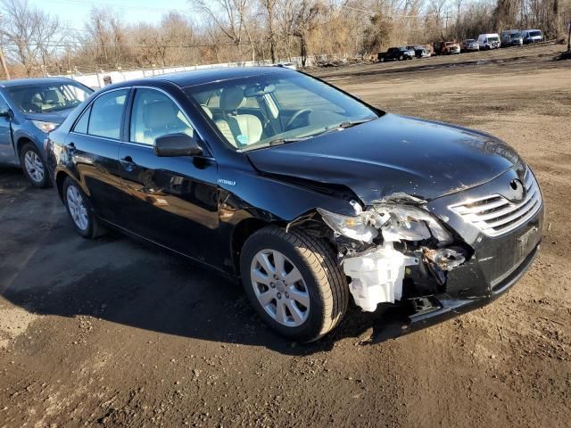 2009 Toyota Camry Hybrid