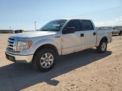 Salvage trucks for sale at Andrews, TX auction: 2009 Ford F150 Supercrew