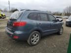 2007 Hyundai Santa FE SE