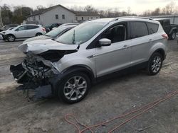 Salvage cars for sale from Copart York Haven, PA: 2014 Ford Escape Titanium