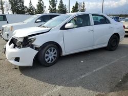 Vehiculos salvage en venta de Copart Rancho Cucamonga, CA: 2010 Toyota Corolla Base